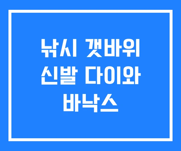 낚시 갯바위 신발 다이와 바낙스 낚시 갯바위 신발 다이와 바낙스