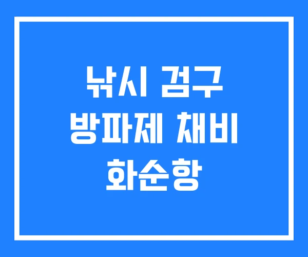 낚시 검구 방파제 채비 화순항