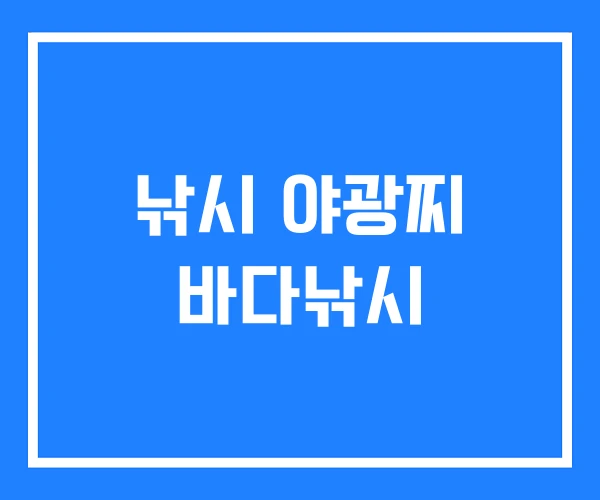 낚시 야광찌 바다낚시