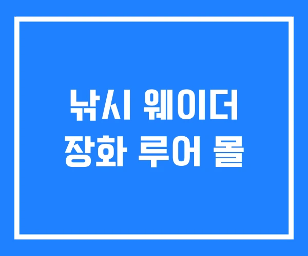 낚시 웨이더 장화 루어 몰