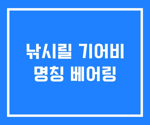 낚시릴 기어비 명칭 베어링 낚시릴 기어비 명칭 베어링
