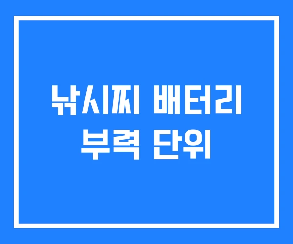 낚시찌 배터리 부력 단위