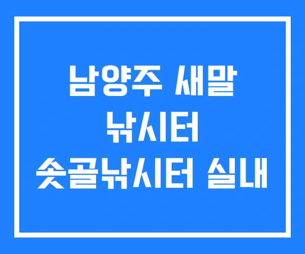 남양주 새말 낚시터 솟골낚시터 실내