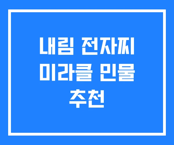 내림 전자찌 미라클 민물 추천