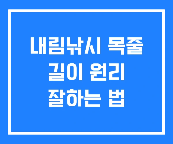 내림낚시 목줄 길이 원리 잘하는 법 내림낚시 목줄 길이 원리 잘하는 법
