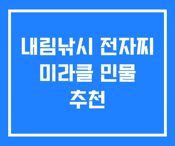내림낚시 전자찌 미라클 민물 추천