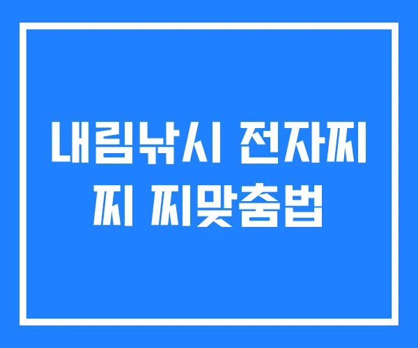 내림낚시 전자찌 찌 찌맞춤법 내림낚시 전자찌 찌 찌맞춤법