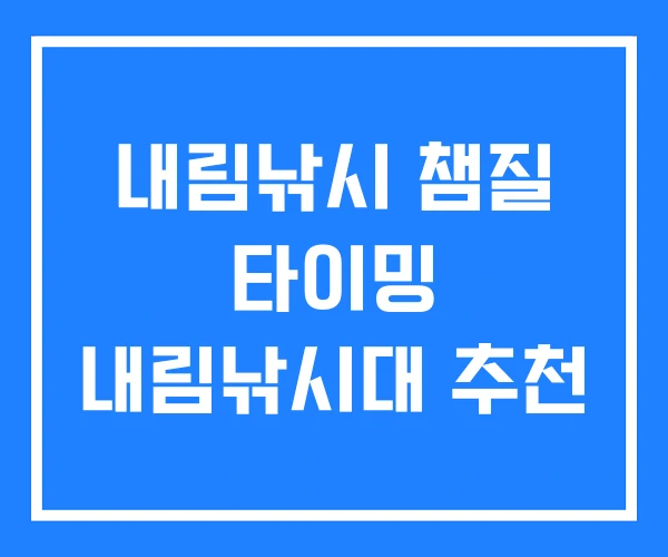 내림낚시 챔질 타이밍 내림낚시대 추천