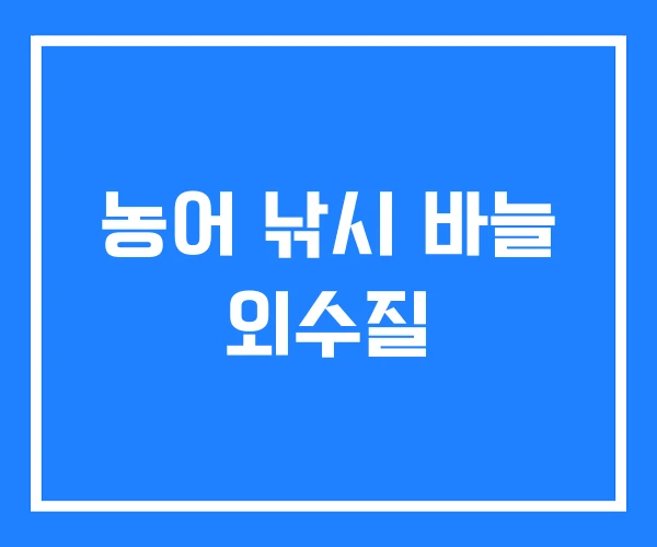 농어 낚시 바늘 외수질 농어 낚시 바늘 외수질