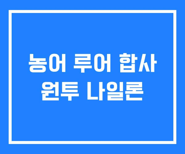 농어 루어 합사 원투 나일론