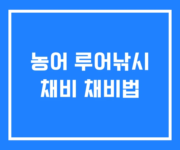농어 루어낚시 채비 채비법