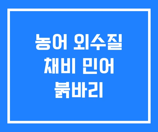 농어 외수질 채비 민어 붉바리