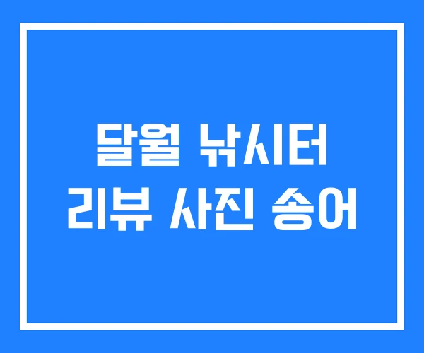 달월 낚시터 리뷰 사진 송어 달월 낚시터 리뷰 사진 송어
