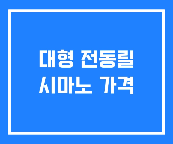 대형 전동릴 시마노 가격
