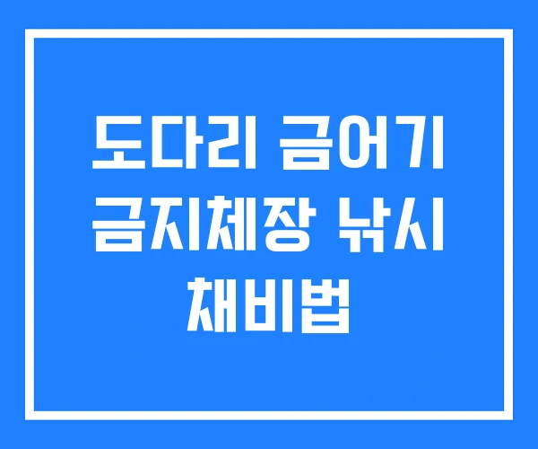 도다리 금어기 금지체장 낚시 채비법 도다리 금어기 금지체장 낚시 채비법