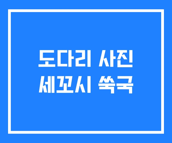 도다리 사진 세꼬시 쑥국 도다리 사진 세꼬시 쑥국
