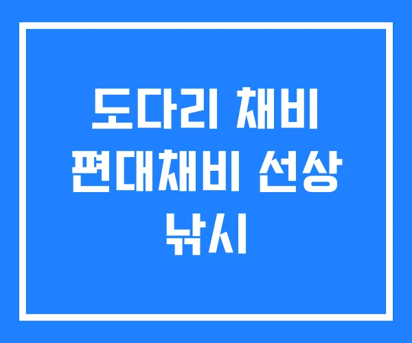 도다리 채비 편대채비 선상 낚시
