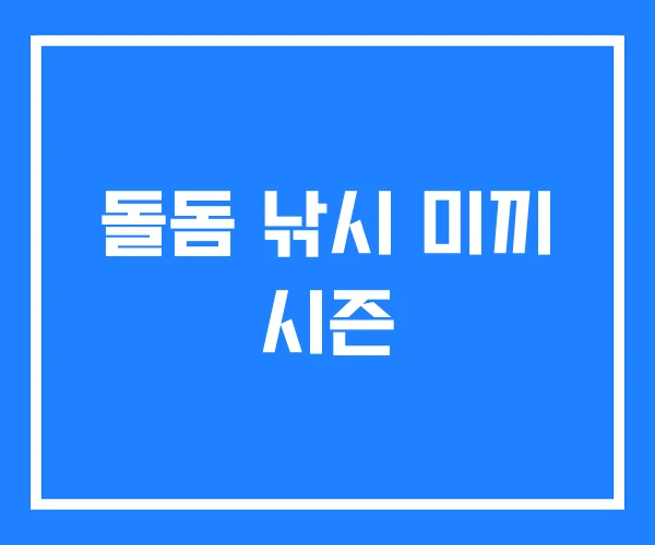 돌돔 낚시 미끼 시즌