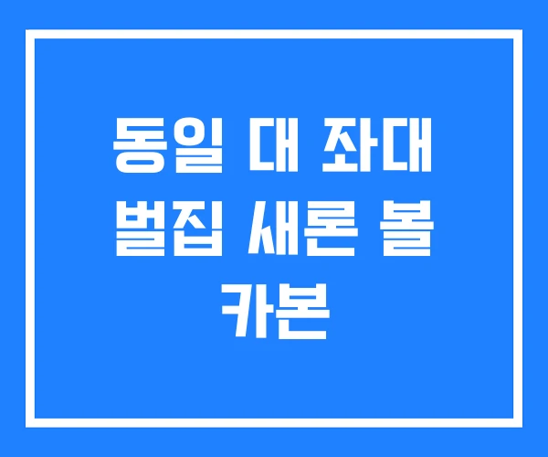 동일 대 좌대 벌집 새론 볼 카본