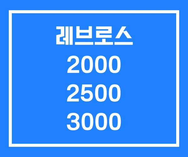 레브로스 2000 2500 3000