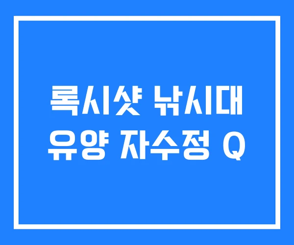 록시샷 낚시대 유양 자수정 Q