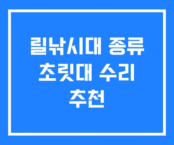 릴낚시대 종류 초릿대 수리 추천
