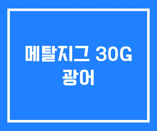 메탈지그 30G 광어 메탈지그 30G 광어
