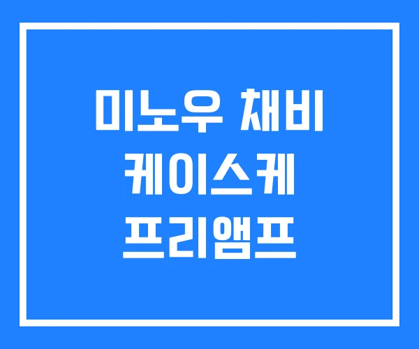 미노우 채비 케이스케 프리앰프 미노우 채비 케이스케 프리앰프