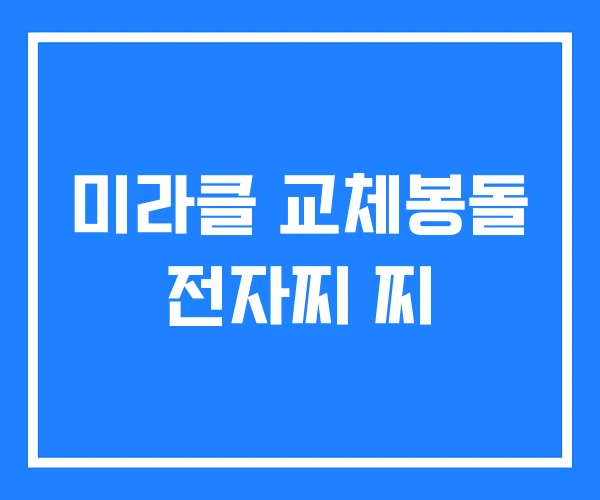 미라클 교체봉돌 전자찌 찌