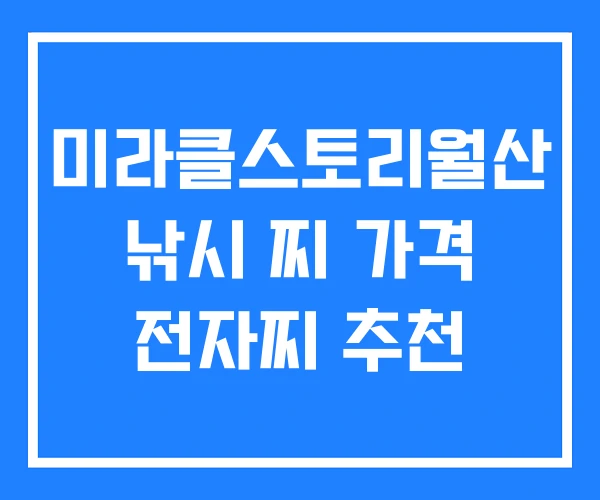 미라클스토리월산 낚시 찌 가격 전자찌 추천
