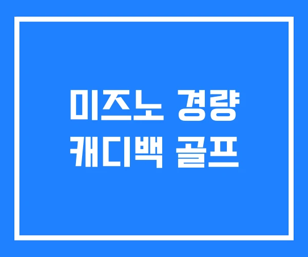 미즈노 경량 캐디백 골프