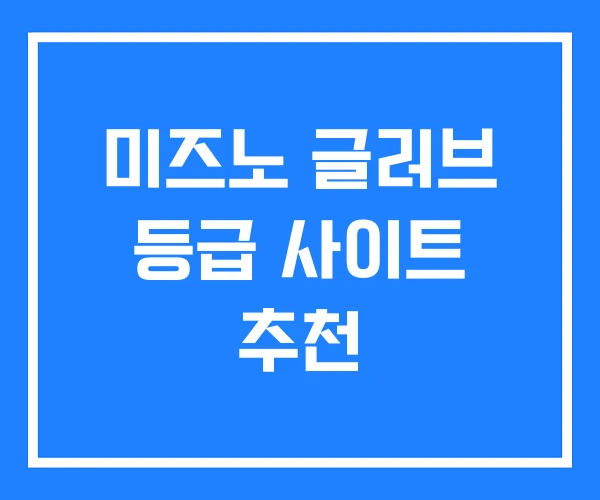 미즈노 글러브 등급 사이트 추천