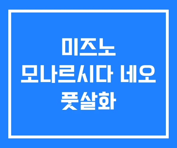 미즈노 모나르시다 네오 풋살화