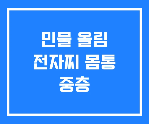 민물 올림 전자찌 몸통 중층 민물 올림 전자찌 몸통 중층