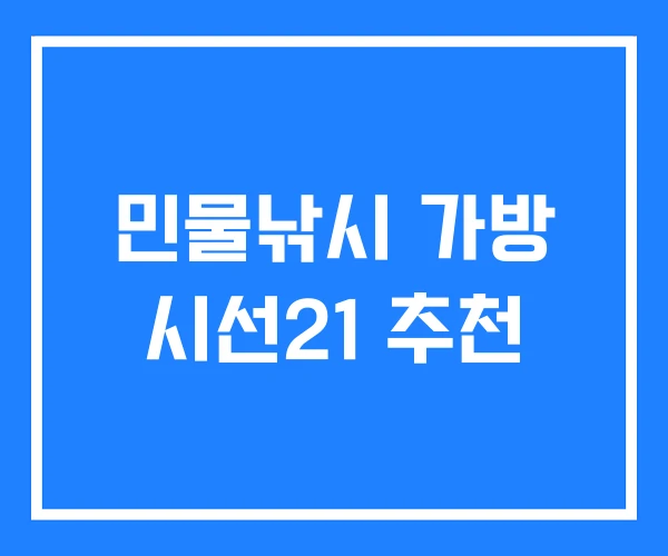 민물낚시 가방 시선21 추천