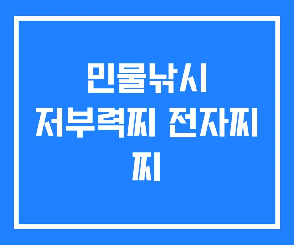 민물낚시 저부력찌 전자찌 찌