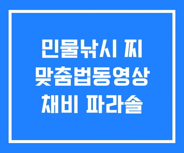 민물낚시 찌 맞춤법동영상 채비 파라솔