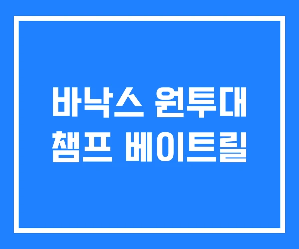 바낙스 원투대 챔프 베이트릴
