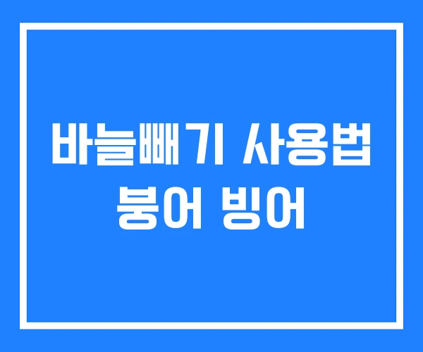바늘빼기 사용법 붕어 빙어