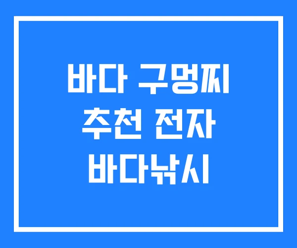 바다 구멍찌 추천 전자 바다낚시 바다 구멍찌 추천 전자 바다낚시