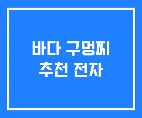 바다 구멍찌 추천 전자