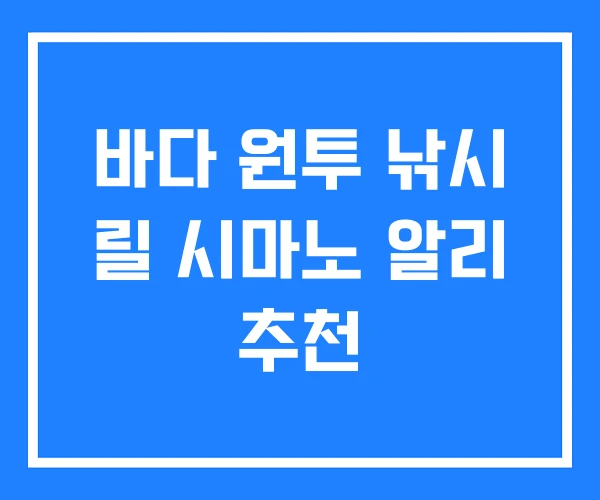 바다 원투 낚시 릴 시마노 알리 추천