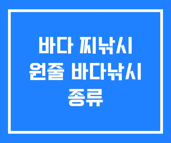 바다 찌낚시 원줄 바다낚시 종류