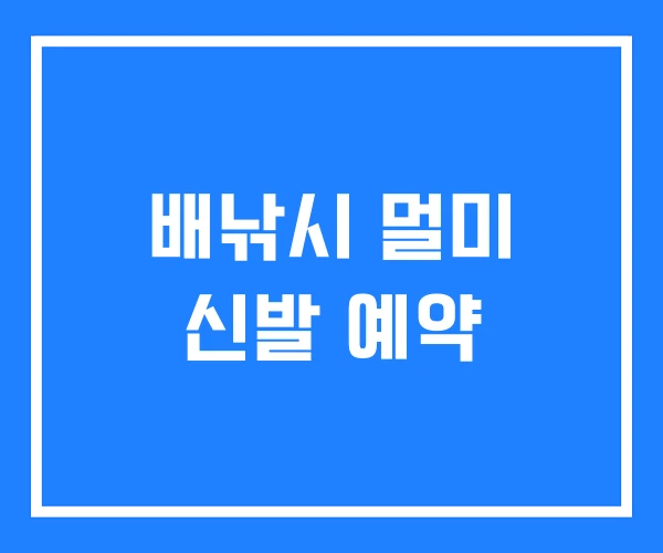 배낚시 멀미 신발 예약