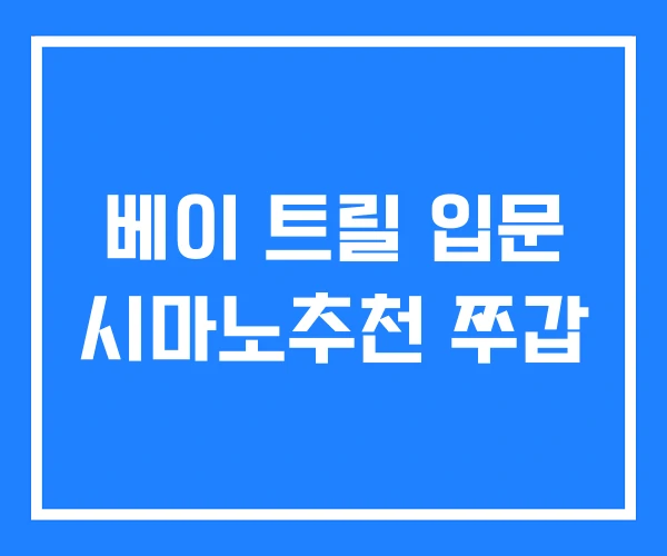 베이 트릴 입문 시마노추천 쭈갑