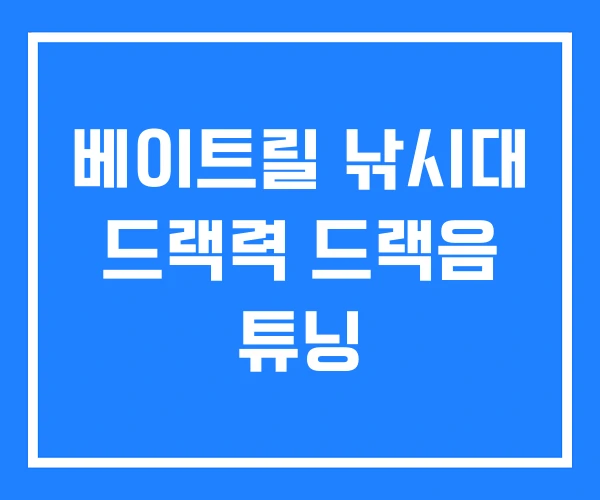 베이트릴 낚시대 드랙력 드랙음 튜닝
