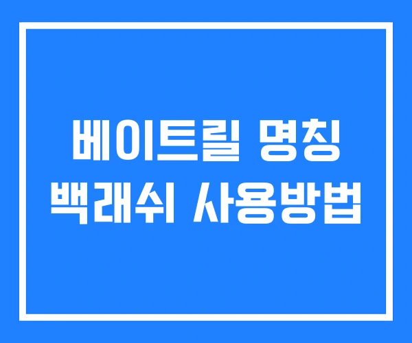 베이트릴 명칭 백래쉬 사용방법 베이트릴 명칭 백래쉬 사용방법
