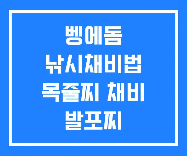 벵에돔 낚시채비법 목줄찌 채비 발포찌