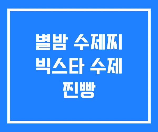 별밤 수제찌 빅스타 수제 찐빵