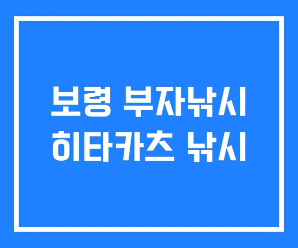 보령 부자낚시 히타카츠 낚시